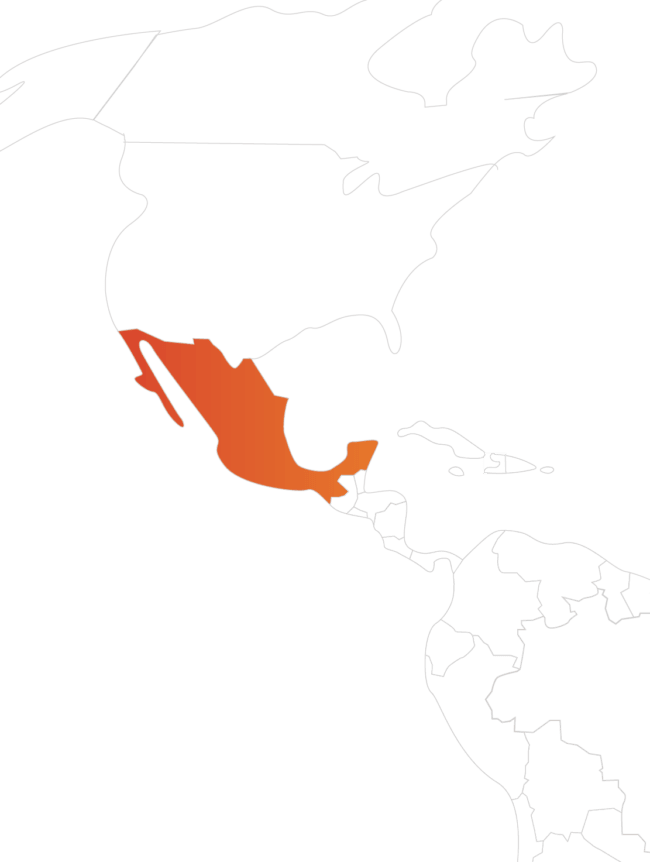 mapa mexico copy